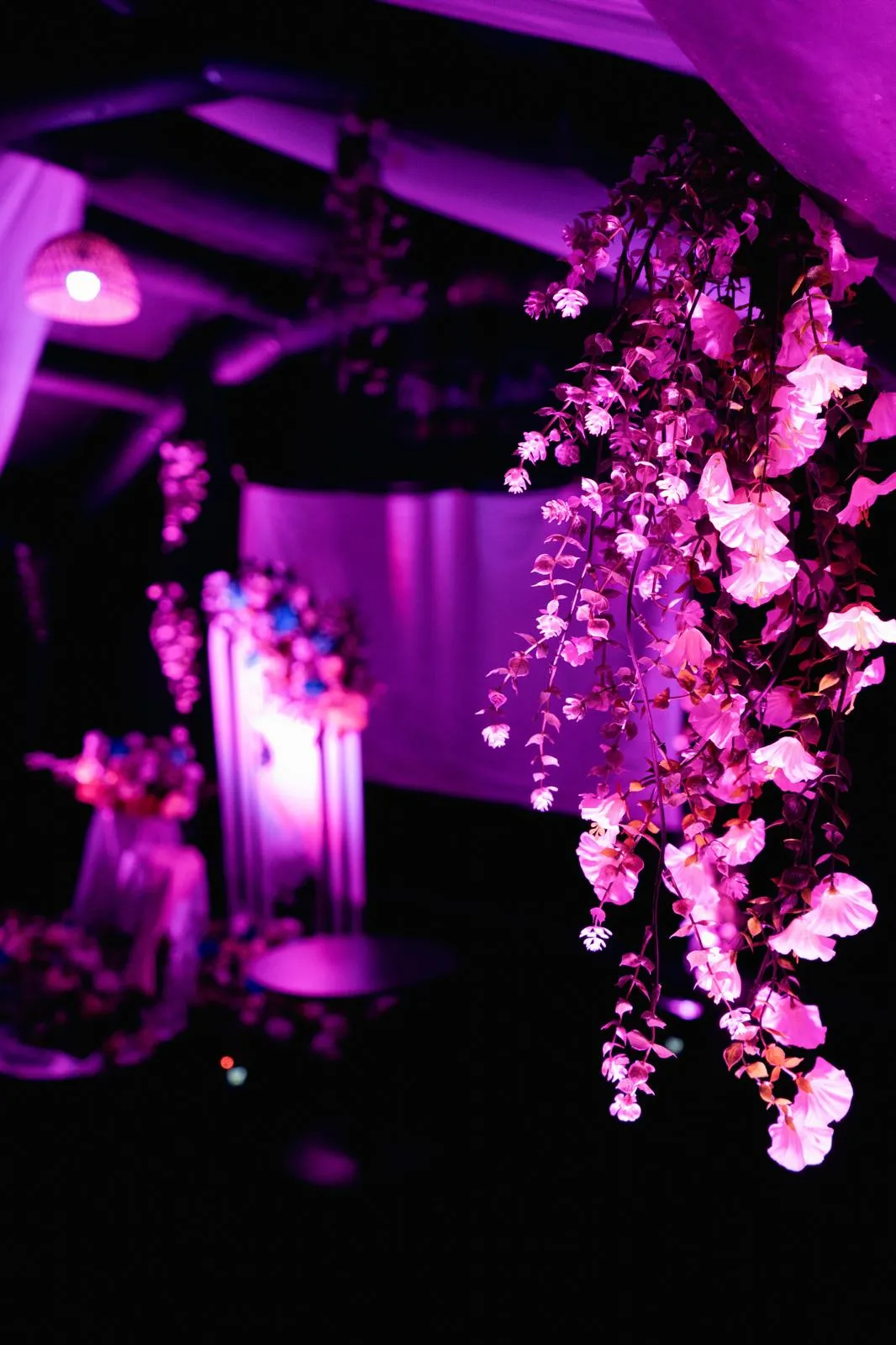 Hanging florals under pink lighting inside the Suite